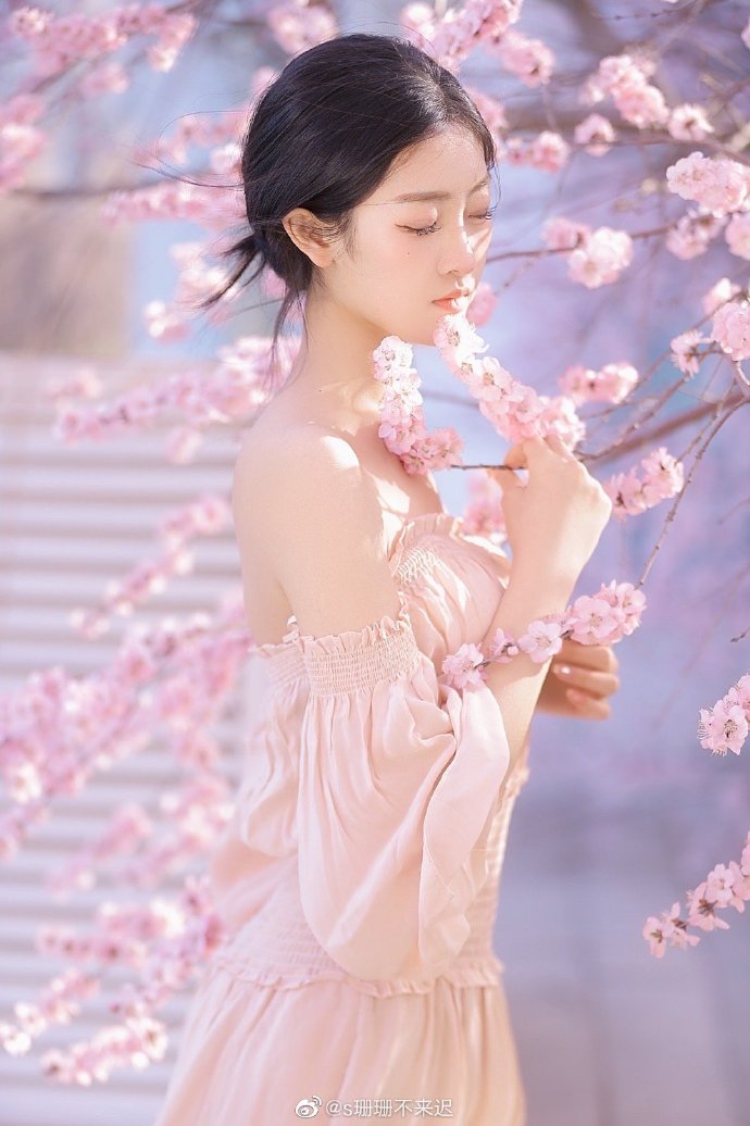 寻梦环游记